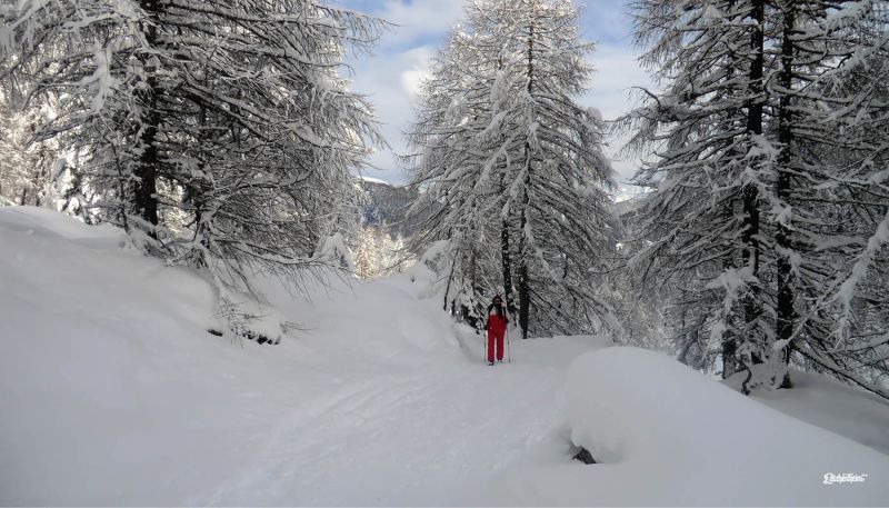 ciaspolada-notturna-val-dultimo-lana-prezzi-sport ...